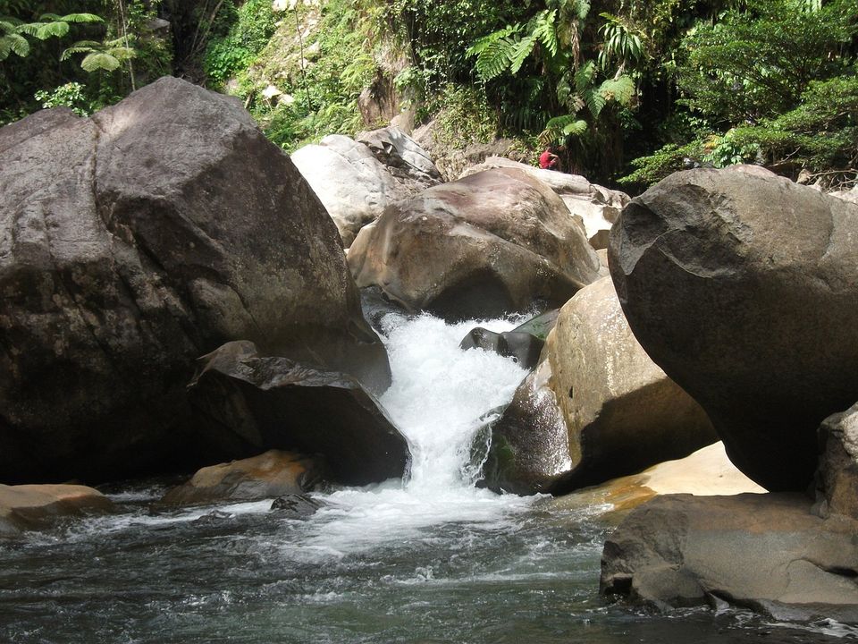 Clear mountain stream in rainforest, West New Britain, Papua New Guinea