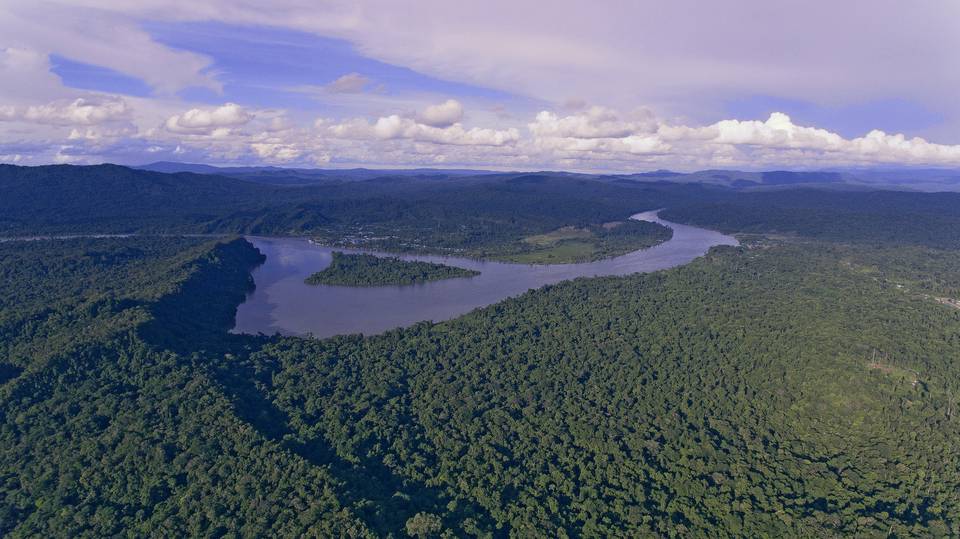 Aerial view of a broad river winding through unbroken rainforest