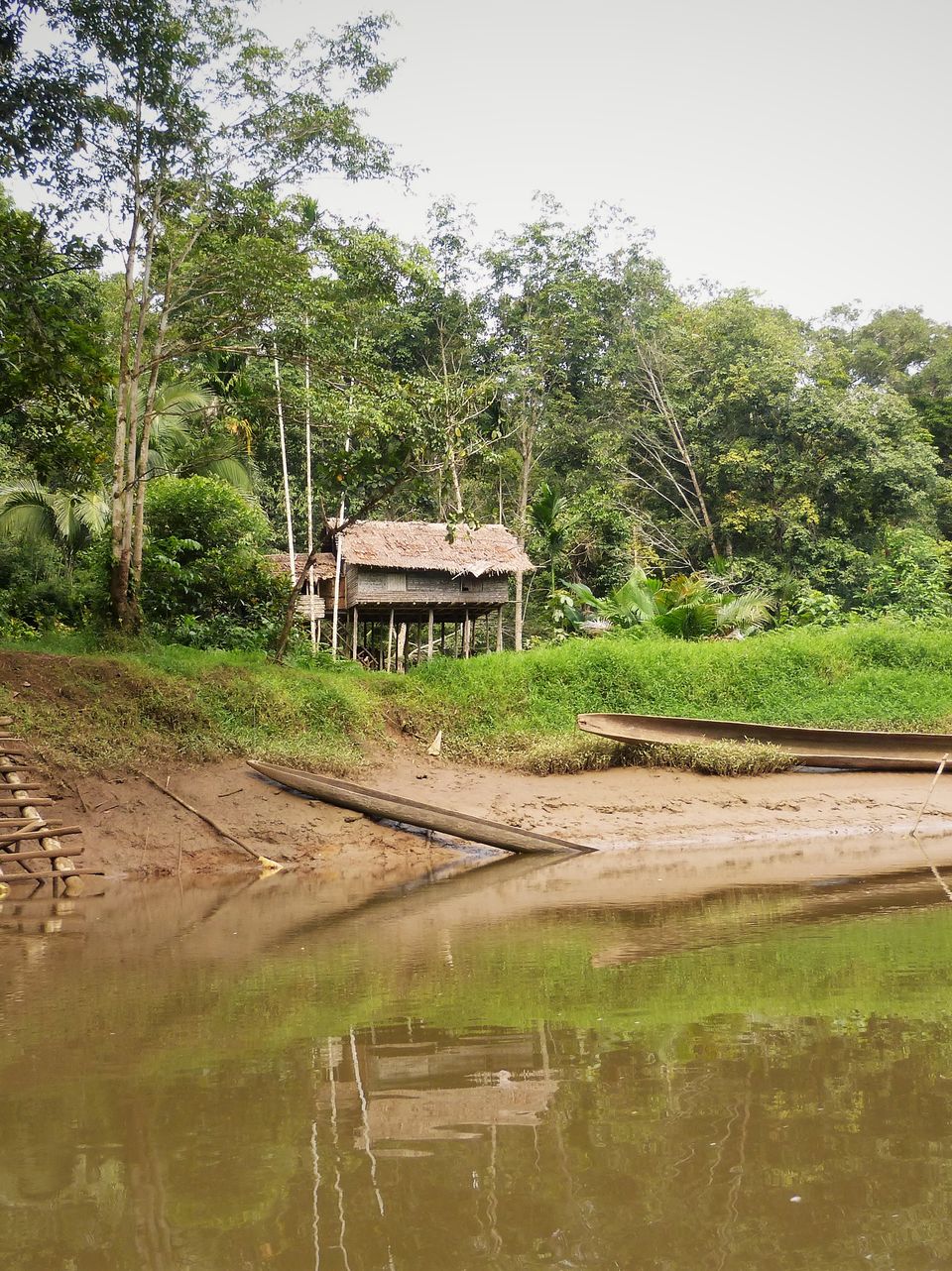 Fly Wara, Western Provins, Papua Niugini